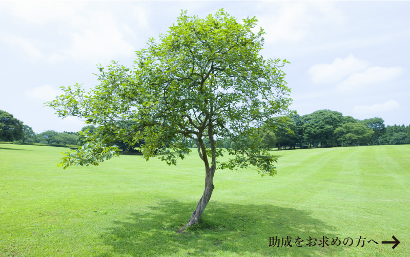 助成金支給