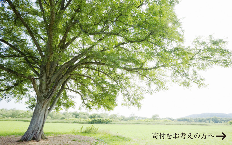 寄付金受入れ